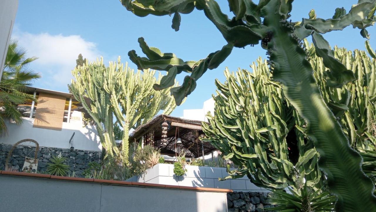 Apartamento Pardela Costa Adeje  Eksteriør bilde