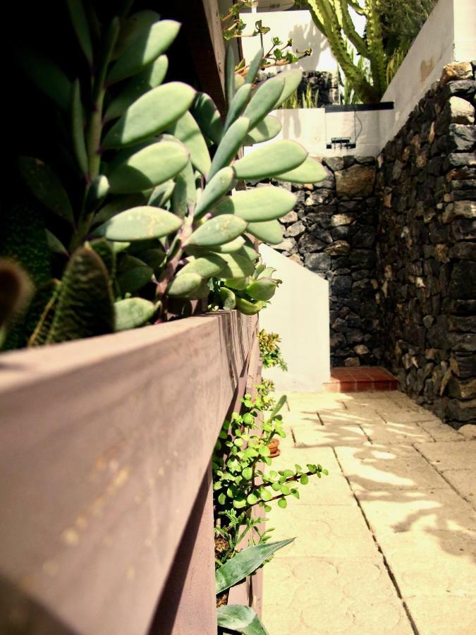 Apartamento Pardela Costa Adeje  Eksteriør bilde